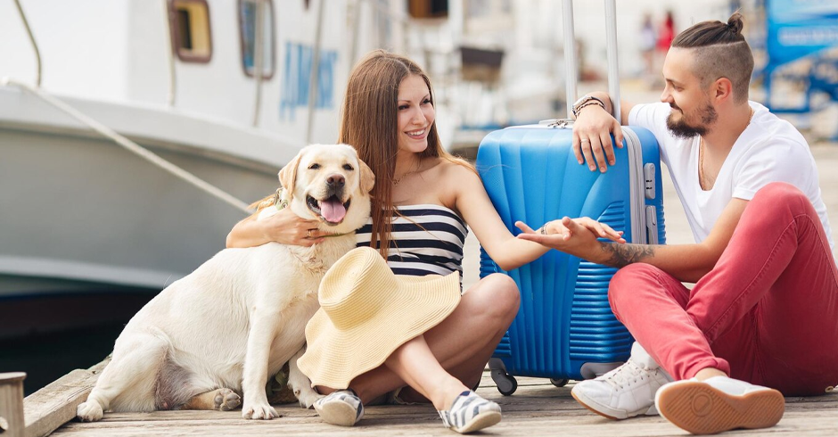 Factors to consider when planning a pet-friendly trip